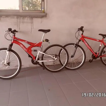 Maison Proche De La * Murtosa