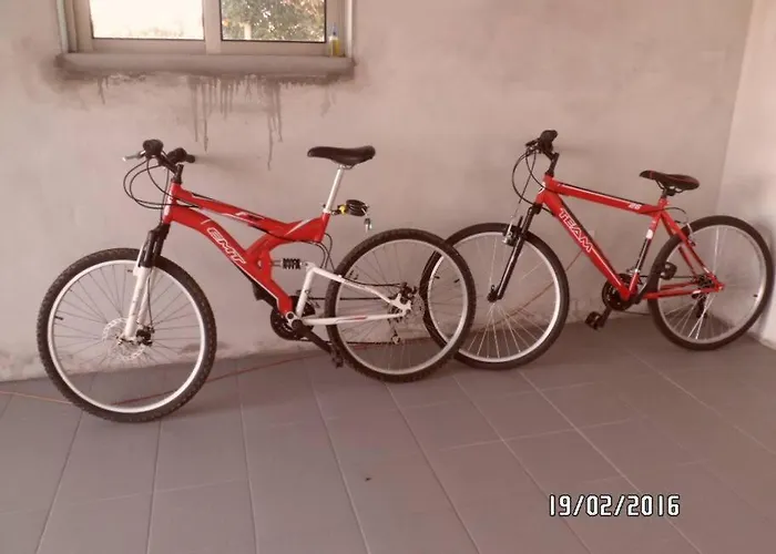 Maison Proche De La * Murtosa